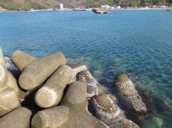 赤崎周辺　夕方アジの回遊にあたるまではカワ…